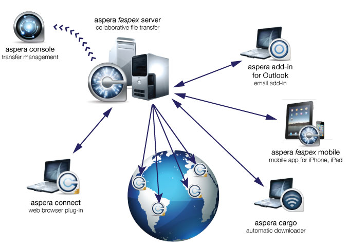 Network Operating System Definition and Examples