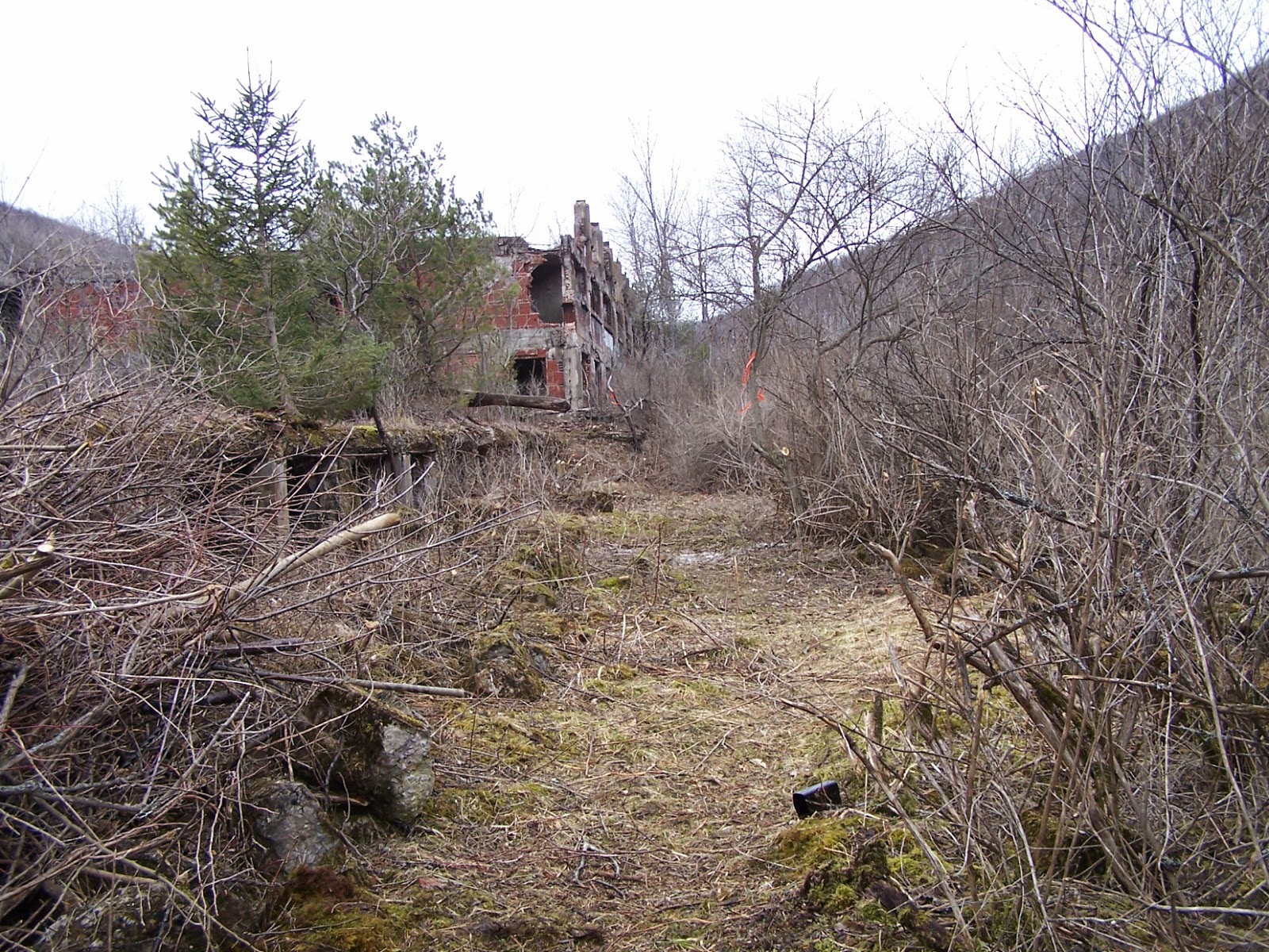 Awesome Austin The Paper Mill Ruins, Austin, Pennsylvania
