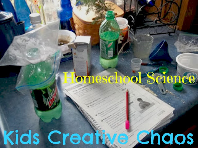 Science: Homeschool Project and Free Printable Worksheet for Matter and Bread Lesson