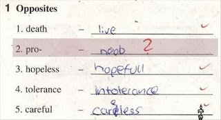 funny exam answers