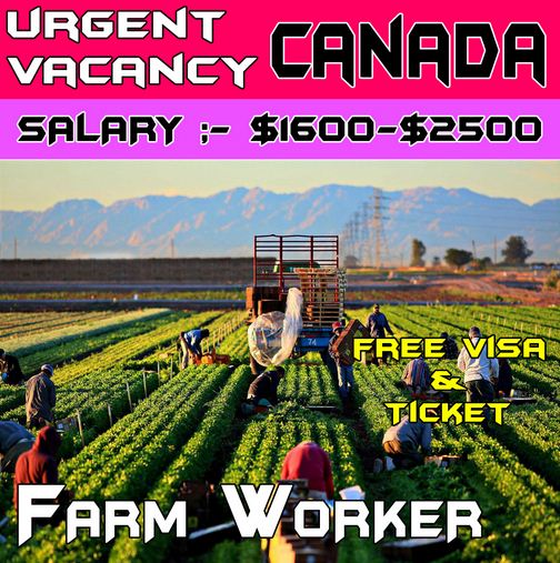 Farm Workers Urgently Needed In Canada [Free Visa] - Apply Now