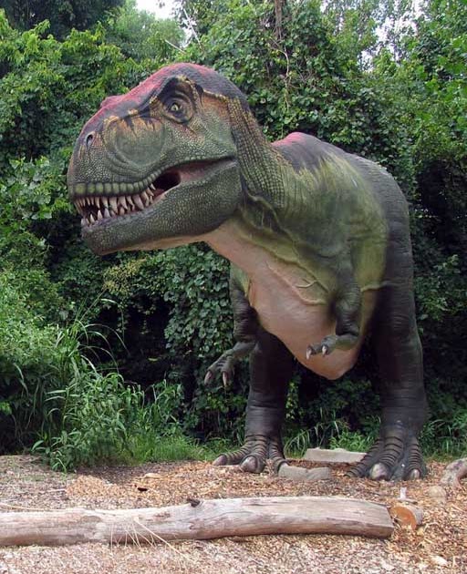 Louisville Fossils and Beyond Blog in Review 1000th Posting