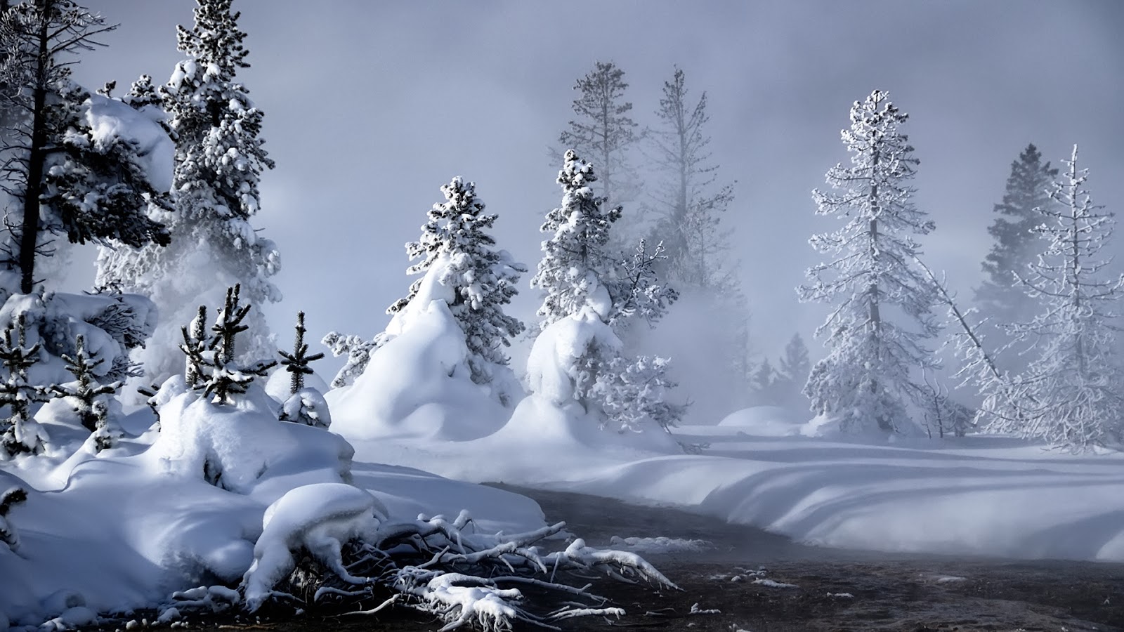 20 fotografías del invierno - Winter free photos - Nieve - Snow