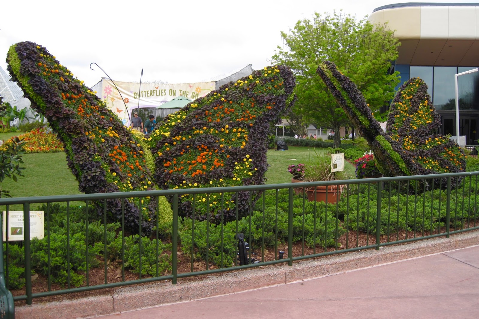 Bonney Lassie Butterfly Garden at the EPCOT International Flower and