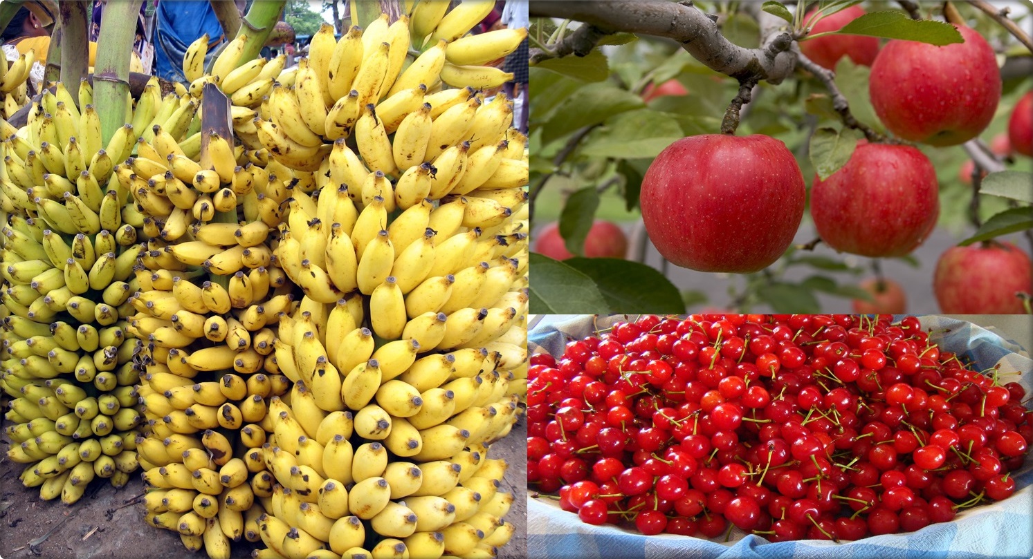 5 Sleep Inducing Fruits That Will Help You Sleep Long And Strong