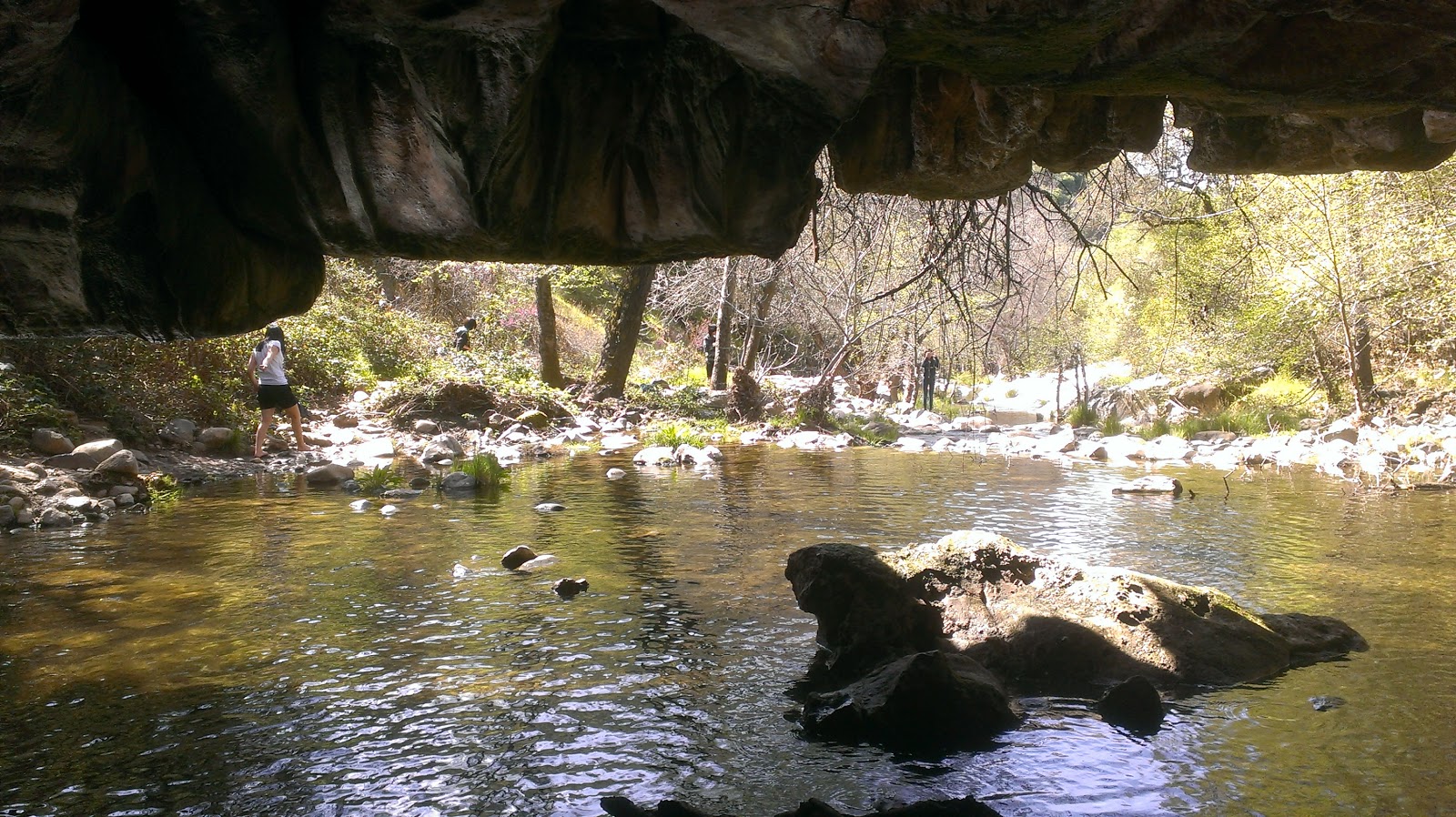 Natural Bridge Cavern (Angel's Camp)4 of 5 Googlenomics