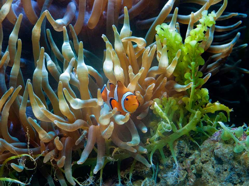 FeistyFotos feistyfotos