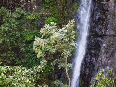 Netravali Waterfalls Goa - Monsoon Adventures