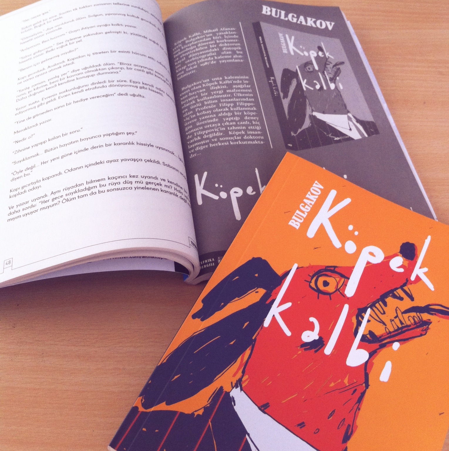 Glorrry Books Köpek Kalbi Bulgakov Kitap İncelemesi *83
