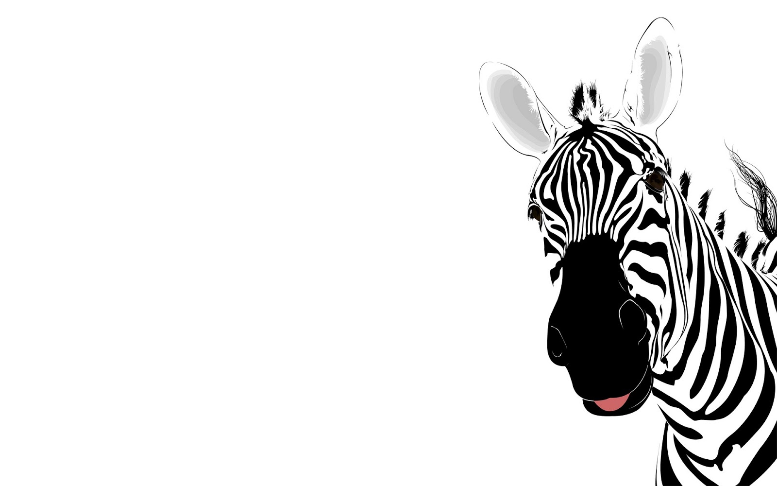 HD Desktop Wallpapers Zebra wallpaper, zebra wallpapers