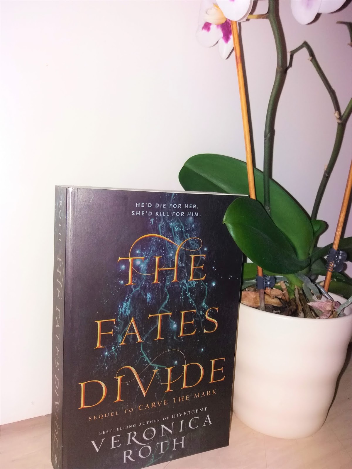 Alteskrokodil Notizen Aus Dem Antiquariat September 2009