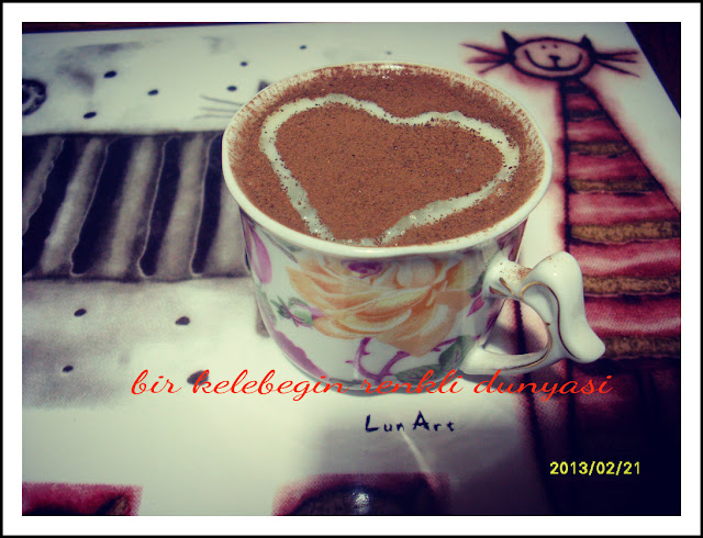 Bir Kelebeğin Renkli Dünyası: Şubat 2013