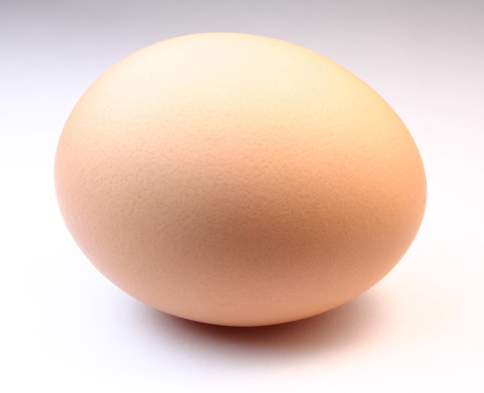 Egg2520