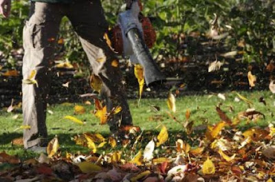 How to use a leaf vacuum mulcher