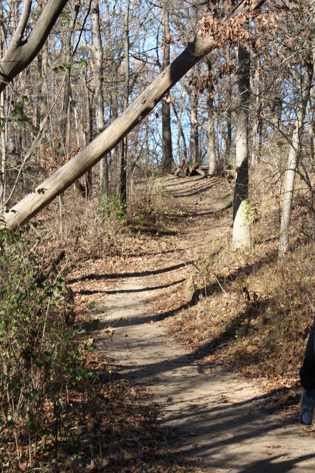 A Little Time and a Keyboard Afternoon at Rock Cut State Park in Illinois