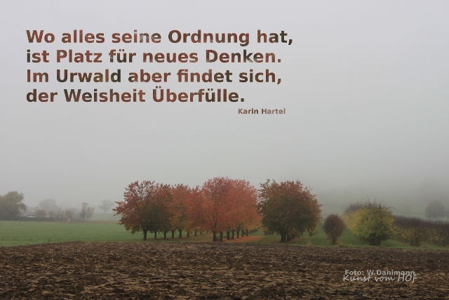 Immer Noch Herbst Kunst Vom Hof