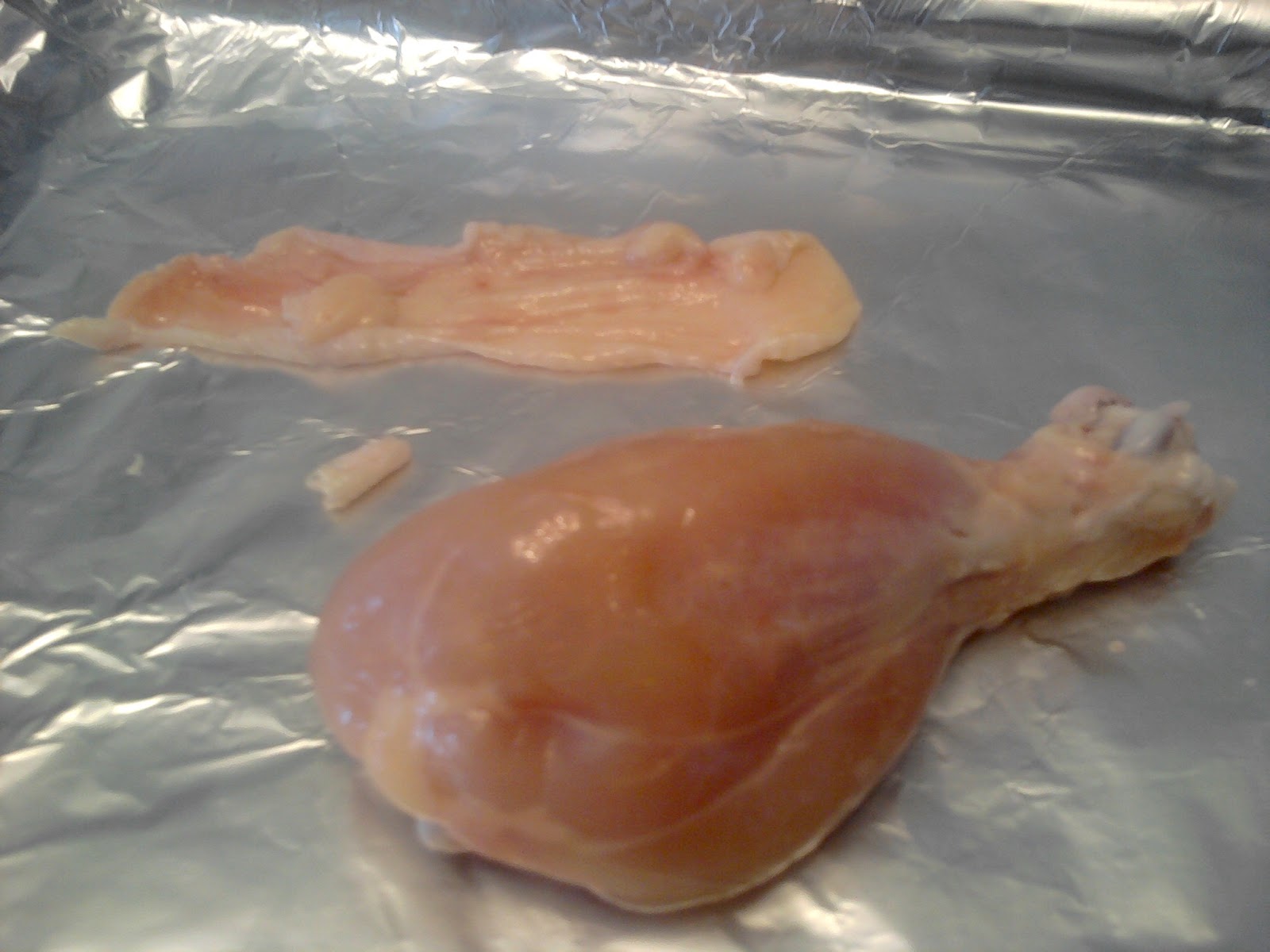 My Class Blog Human Biology Chicken Leg Dissection Lab Project/Unit 3