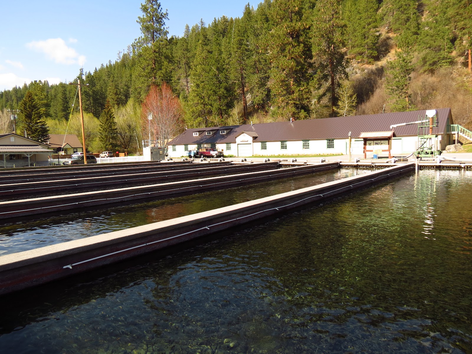 Tom And Donna Full timer RV Blog Klamath Fish Hatchery