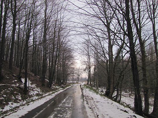 Droga z Roztok Górnych na Przełęcz nad Roztokami.