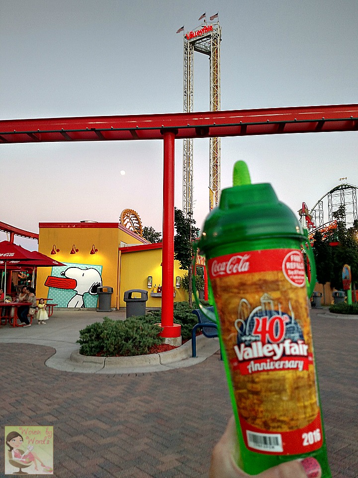 Woven by Words A Day At Valleyfair