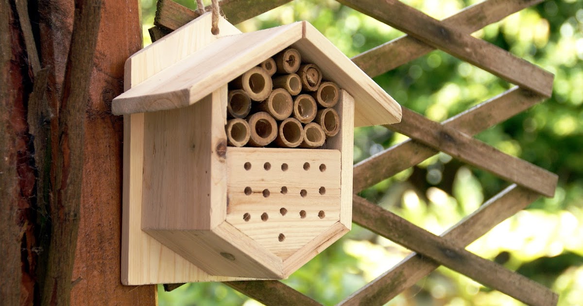 DIY Bee and Insect Hotel A Blackbird's Epiphany UK Women's Fitness
