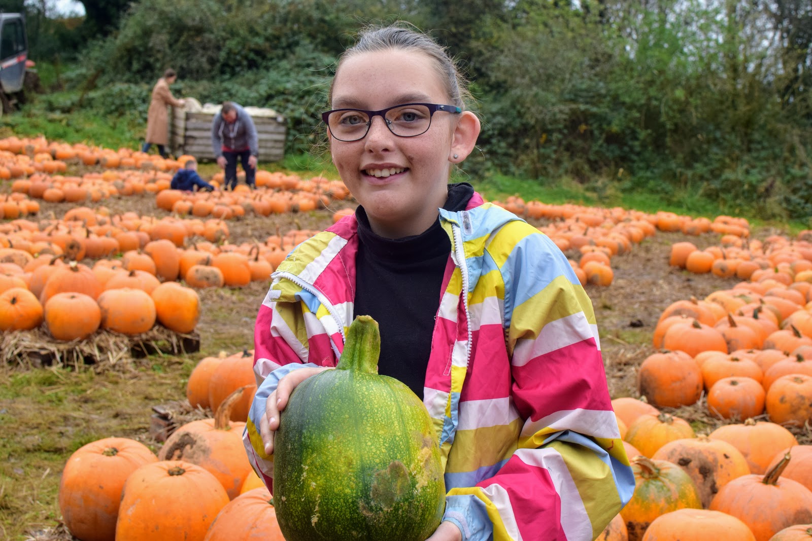, Pumpkin Picking at Brooksgrove Farm, October 2017