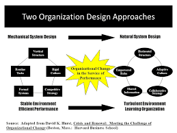 Organizational Theory: EFFICIENT PERFORMANCE VERSUS THE LEARNING ...