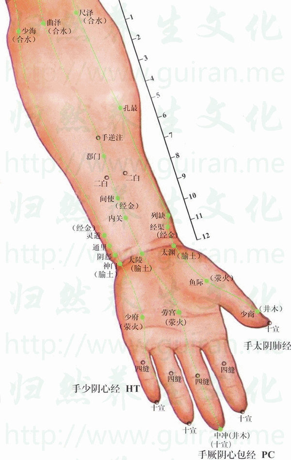 列缺穴位 | 列缺穴痛位置 - 穴道按摩經絡圖解 | Source:zhentuiyixue.com
