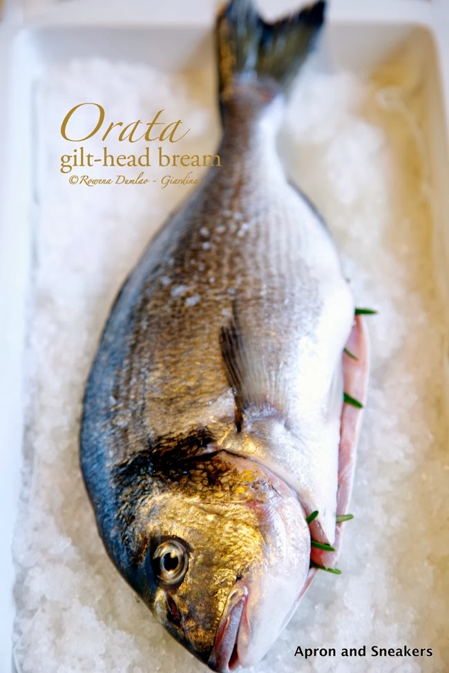 Salt-Crusted Baked Whole Fish