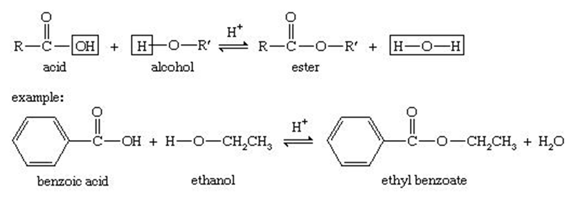 Carboxylic acid alcohol. Бензойная кислота socl2. Esterification. Ethyl alcohol. Ртуть и соляная кислота реакция