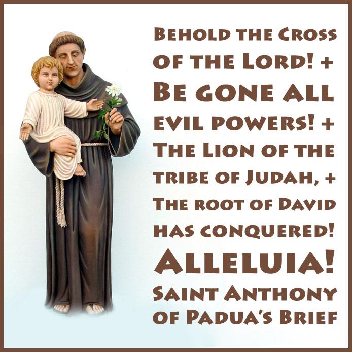 Little Plant of St. Francis: St. Anthony Quote