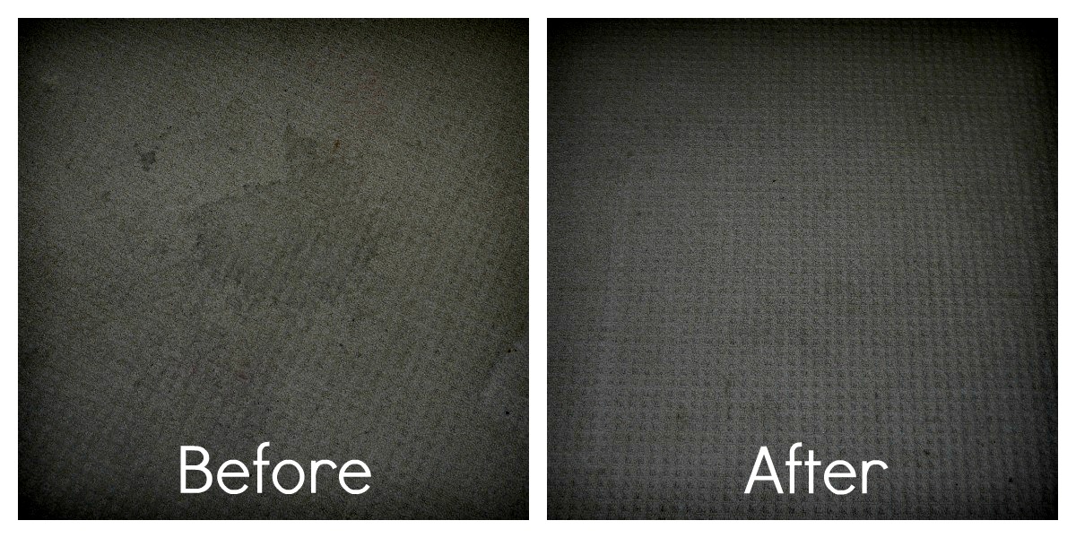 Inside the Wendy House Rug Doctor Review