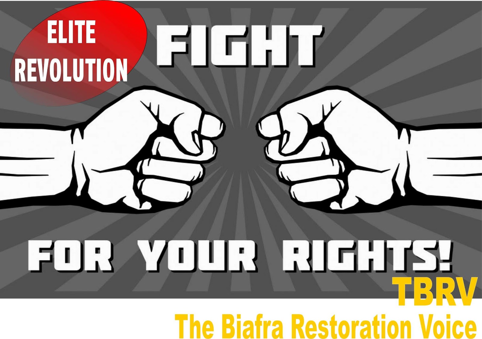 Революция элит. Легкая пехота 21 века. Революция элит. Революция элит. Sniper elite 4.