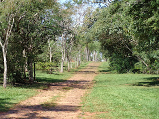 Paraguay-PN Cerro Cora (chemin)