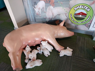a large model pig lays on her side on the ground while assorted plush piglets nurse in the farm zone at LaunchPad Children's Museum