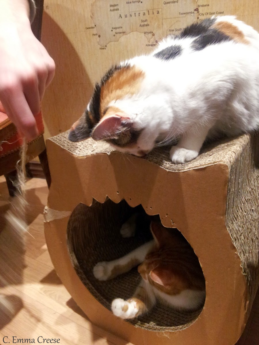 Lady Dinah's Cat Cafe Adventures of a London Kiwi