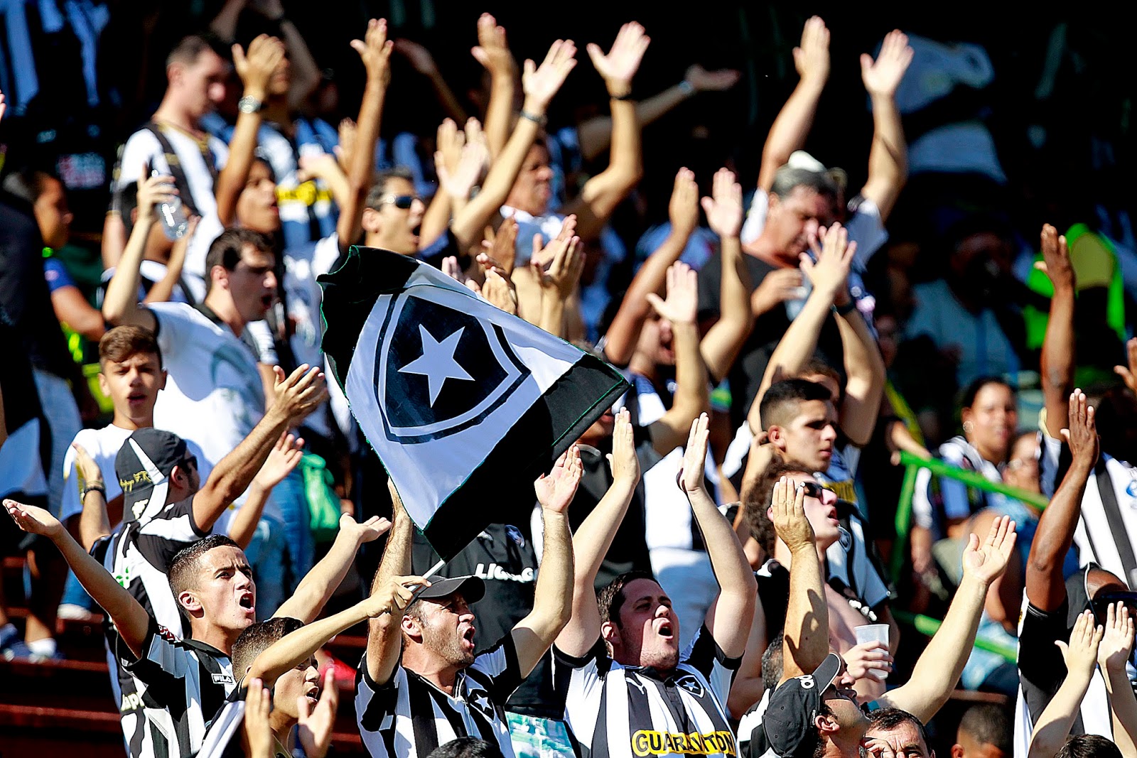 Botafoguenses Parem De Procurar Culpados Blog Torcedor Do Botafogo
