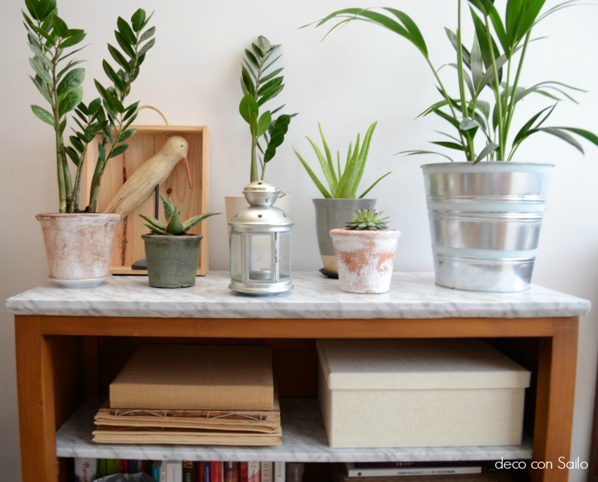 diy con papel vinílico marmol plantas 1