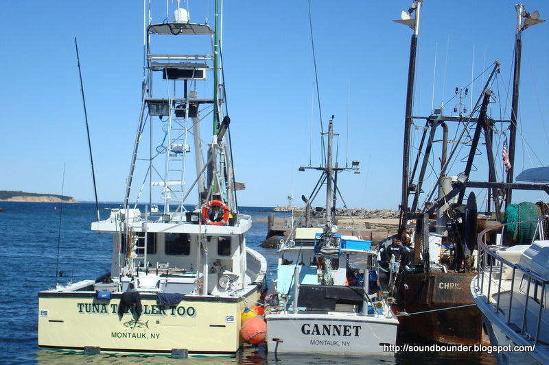 SOUNDBOUNDER Old Harbor