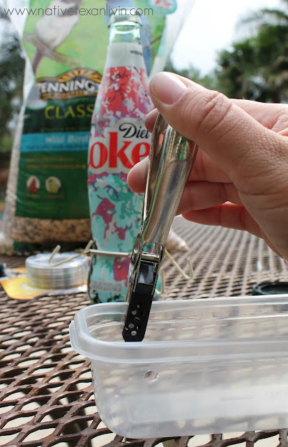 Easy DIY Bird Feeder Supplies Easy DIY Bird Feeder Supplies
