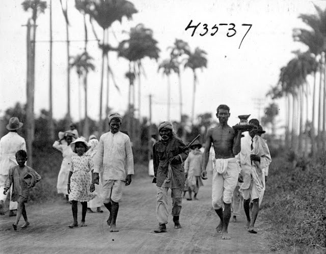 Street with people, palm trees in background. 1922. Guyana, South America