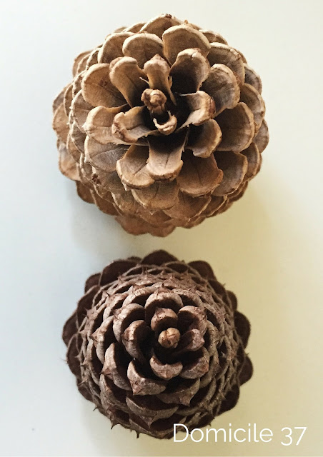 A simple free DIY on how to bleach Pinecones for the holiday season