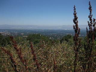 View of the valley and San Francisco Bay from Page Mill Road, Palo Alto, CA
