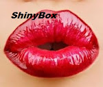 ShinyBox
