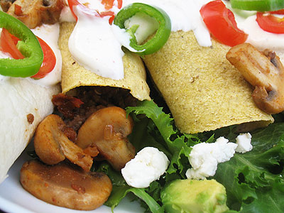 Mexican Burrito wrap