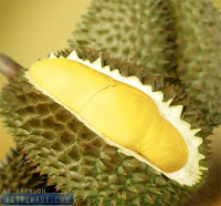 tips cara pilih buah durian terbaik