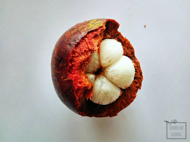 Mangostan właściwy (Garcynia mangostana) - tropikalny owoc, opis, smak, wygląd, zdjęcia, nasiona, siew.