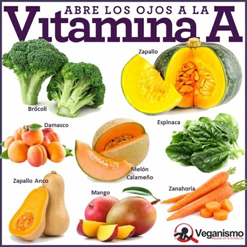 Contienen alimentos vitaminas que