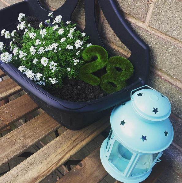 garden instagram