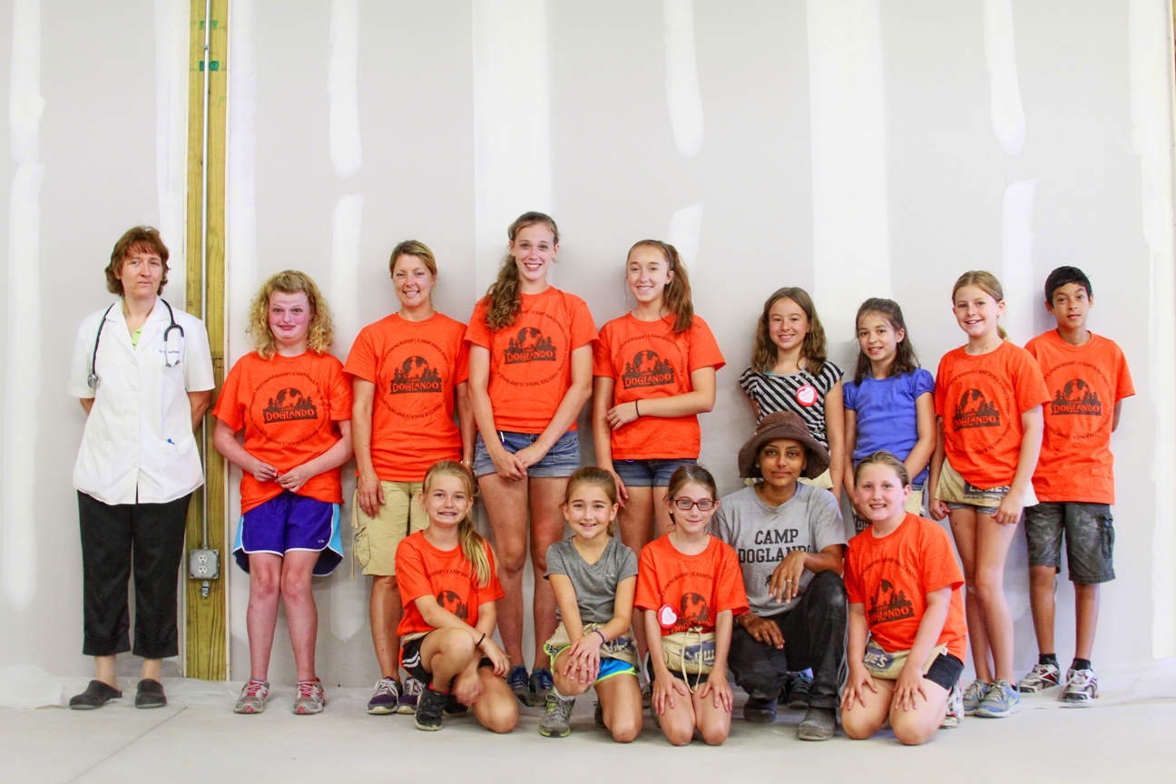 The Doglando Blog Orlando Dog Grooming Orlando Dog Training Dog